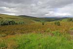 Cairngorms  National  Park 